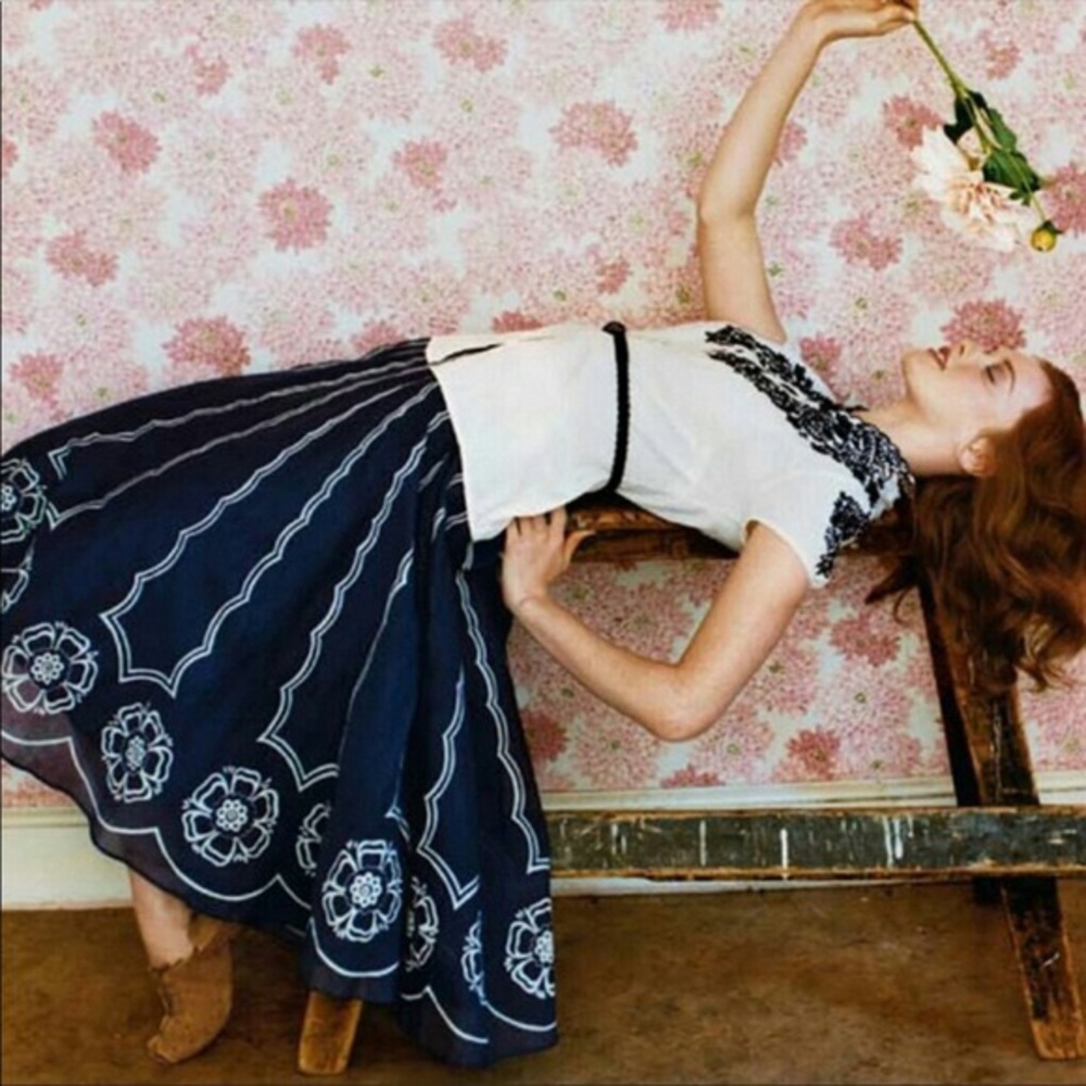 Anthropologie Viola Mariposa skirt size 8 Used